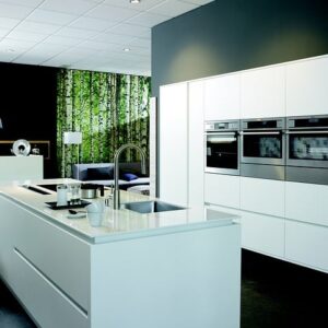 Oster Blender Pro