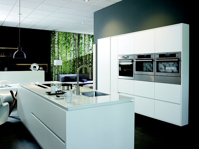 Oster Blender Pro